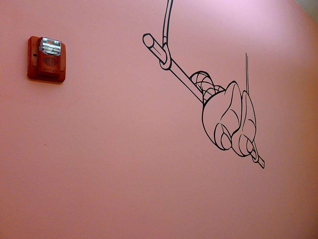 Growing Sideways — BGSQD